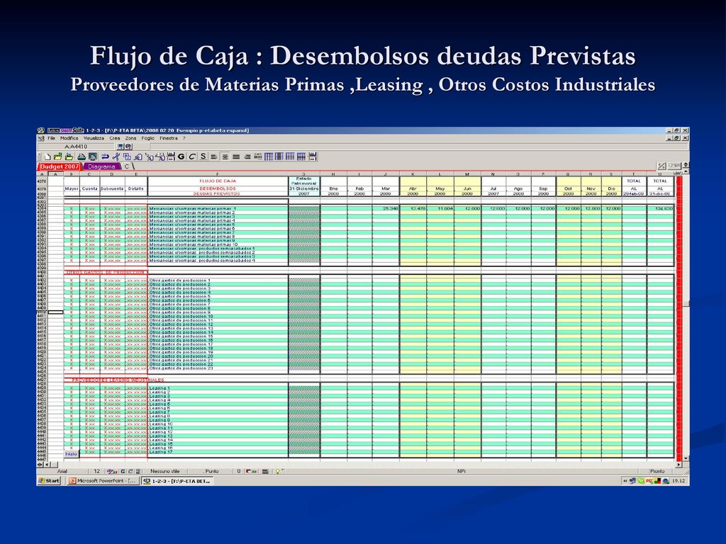 Flujo de Caja : Desembolsos deudas Previstas Proveedores de Materias Primas ,Leasing , Otros Costos Industriales