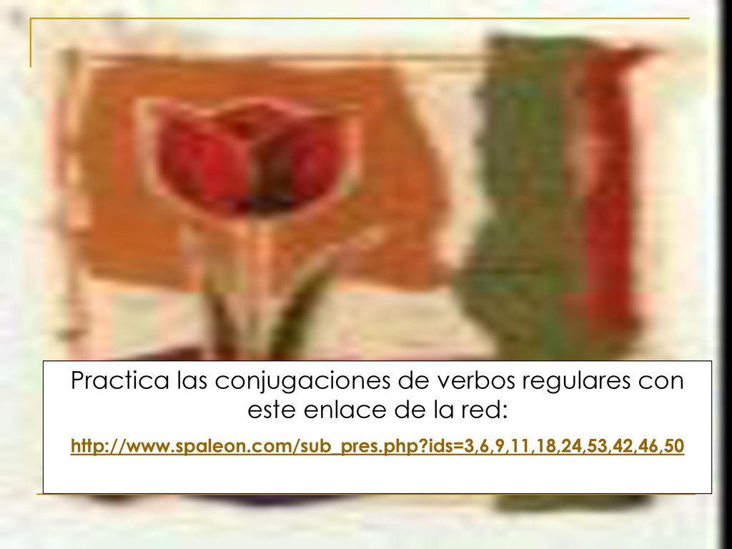 Practica las conjugaciones de verbos regulares con este enlace de la red: