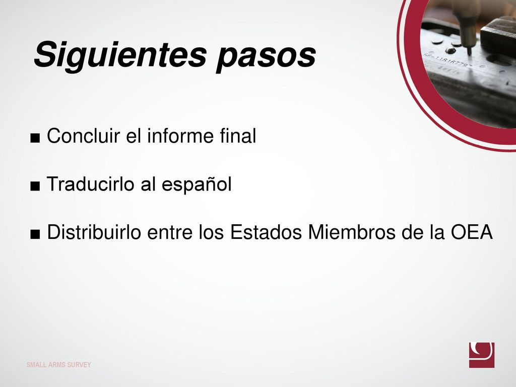 Siguientes pasos ■ Concluir el informe final ■ Traducirlo al español