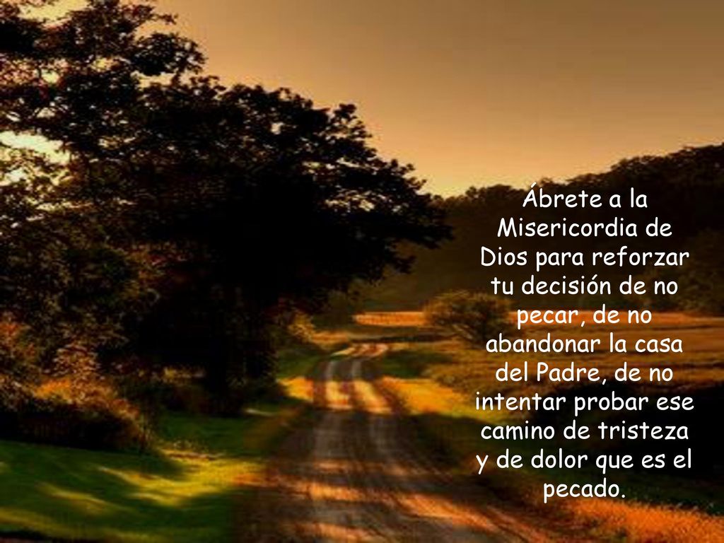 Ábrete a la Misericordia de Dios para reforzar tu decisión de no pecar, de no abandonar la casa del Padre, de no intentar probar ese camino de tristeza y de dolor que es el pecado.