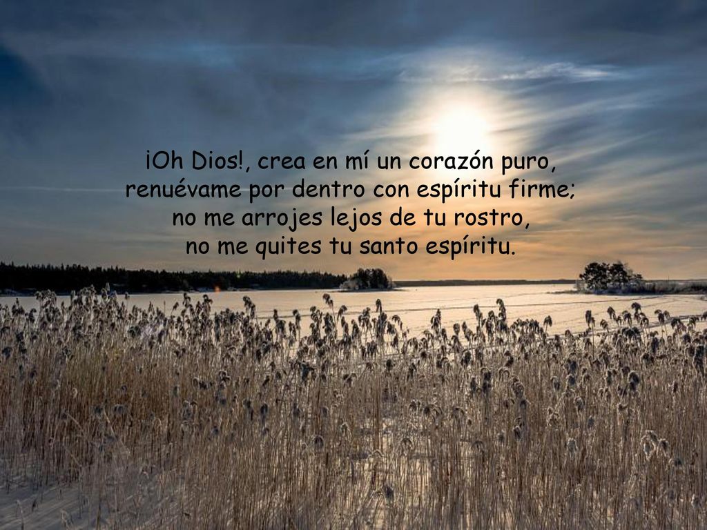 ¡Oh Dios!, crea en mí un corazón puro, renuévame por dentro con espíritu firme; no me arrojes lejos de tu rostro, no me quites tu santo espíritu.