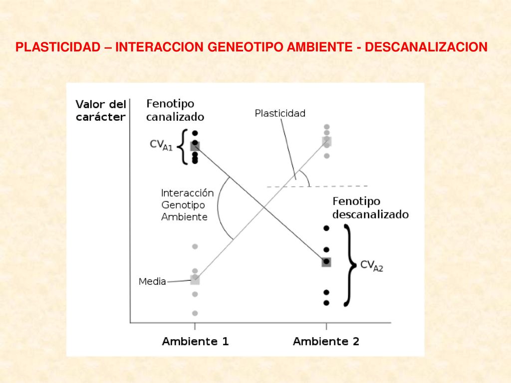 PLASTICIDAD – INTERACCION GENEOTIPO AMBIENTE - DESCANALIZACION