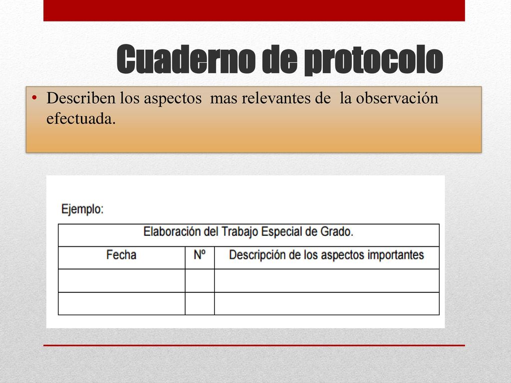 Cuaderno de protocolo Describen los aspectos mas relevantes de la observación efectuada.