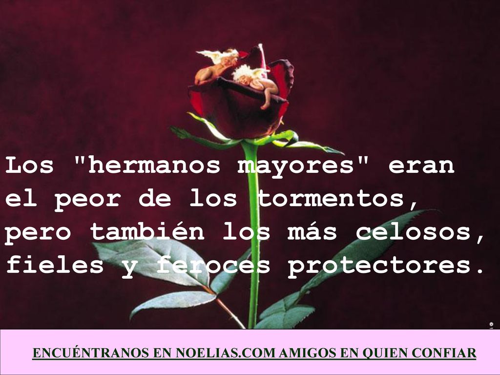 Los hermanos mayores eran el peor de los tormentos, pero también los más celosos, fieles y feroces protectores.