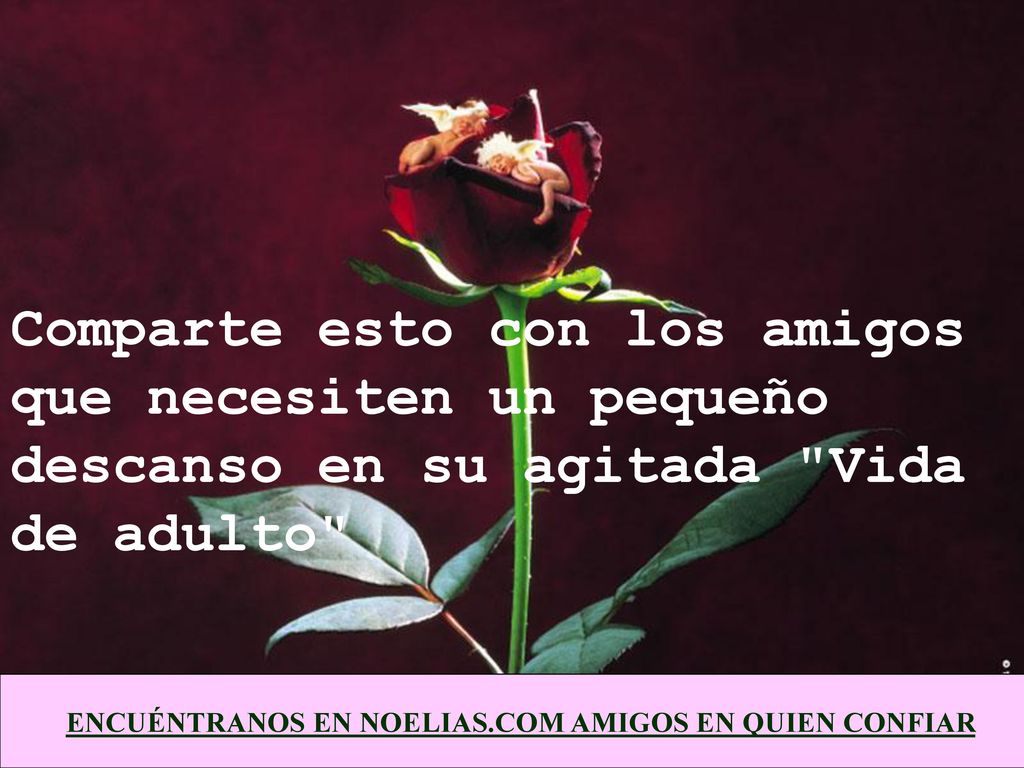 Comparte esto con los amigos que necesiten un pequeño descanso en su agitada Vida de adulto