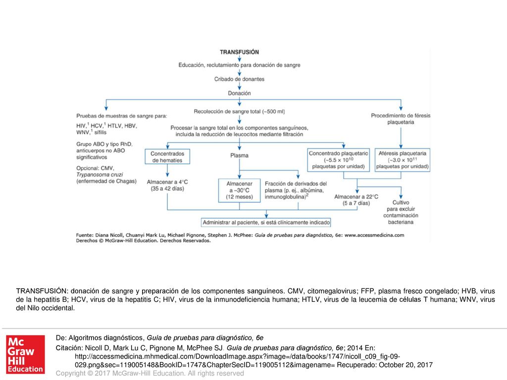 TRANSFUSIÓN: donación de sangre y preparación de los componentes sanguíneos. CMV, citomegalovirus; FFP, plasma fresco congelado; HVB, virus de la hepatitis B; HCV, virus de la hepatitis C; HIV, virus de la inmunodeficiencia humana; HTLV, virus de la leucemia de células T humana; WNV, virus del Nilo occidental.