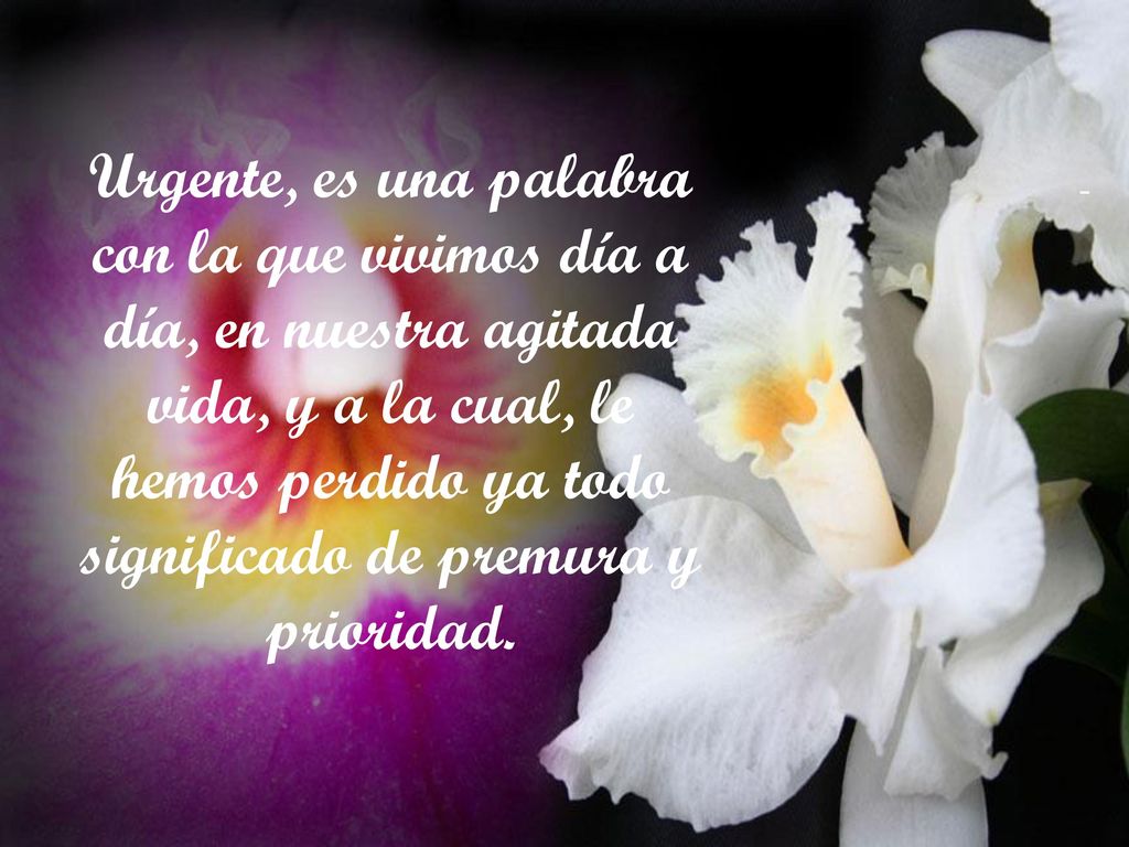 Urgente, es una palabra con la que vivimos día a día, en nuestra agitada vida, y a la cual, le hemos perdido ya todo significado de premura y prioridad.