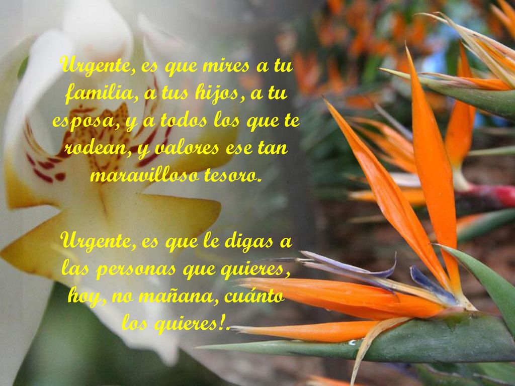 Urgente, es que mires a tu familia, a tus hijos, a tu esposa, y a todos los que te rodean, y valores ese tan maravilloso tesoro.