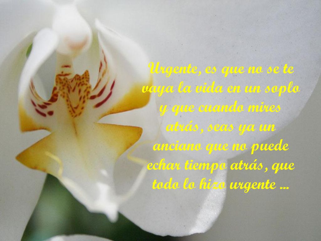 Urgente, es que no se te vaya la vida en un soplo y que cuando mires atrás, seas ya un anciano que no puede echar tiempo atrás, que todo lo hizo urgente ...