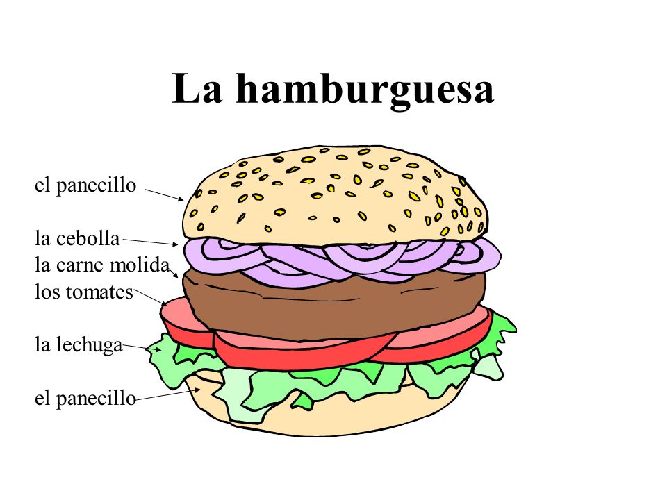 La hamburguesa el panecillo la cebolla la carne molida los tomates