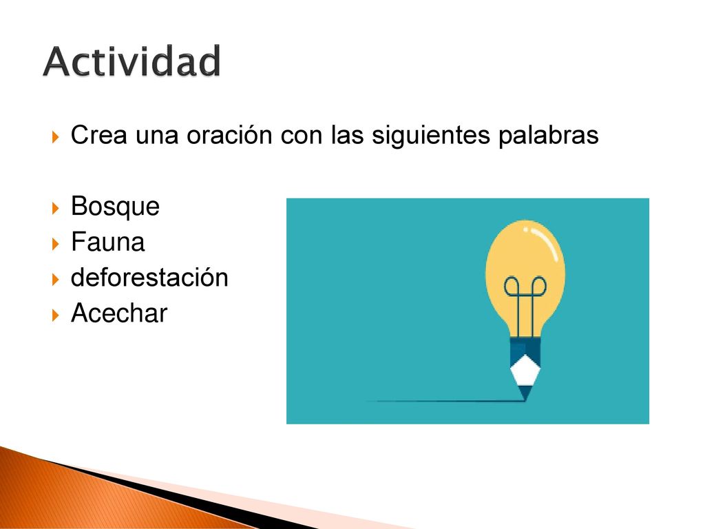 Actividad Crea una oración con las siguientes palabras Bosque Fauna
