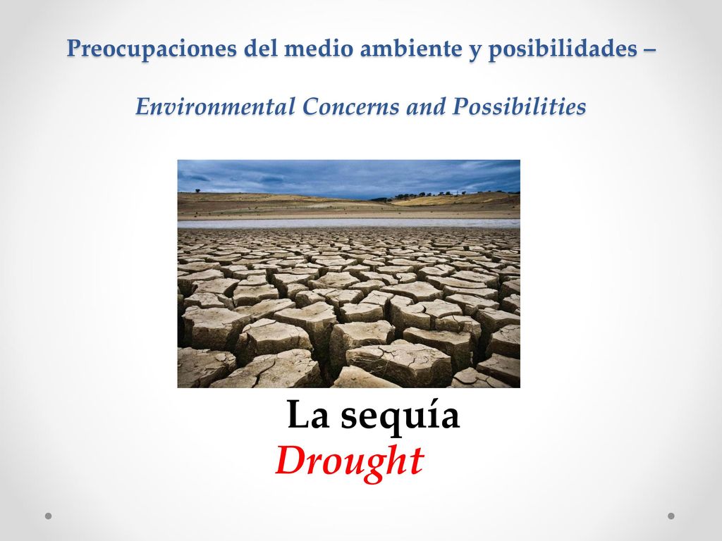 Preocupaciones del medio ambiente y posibilidades – Environmental Concerns and Possibilities