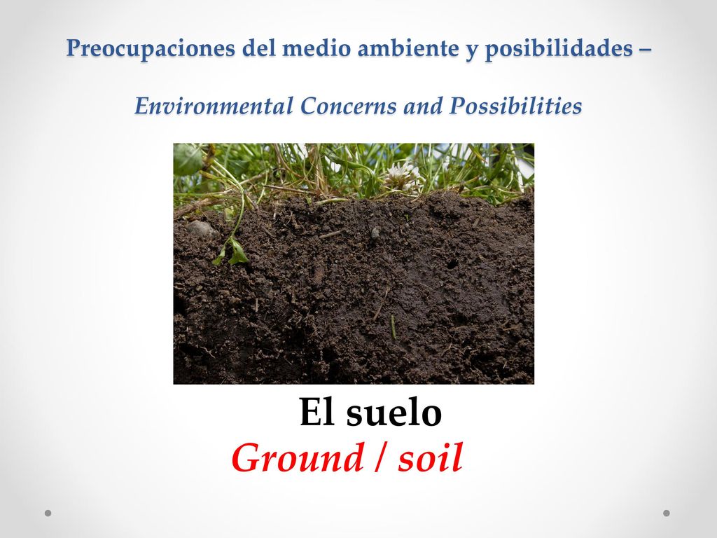 Preocupaciones del medio ambiente y posibilidades – Environmental Concerns and Possibilities