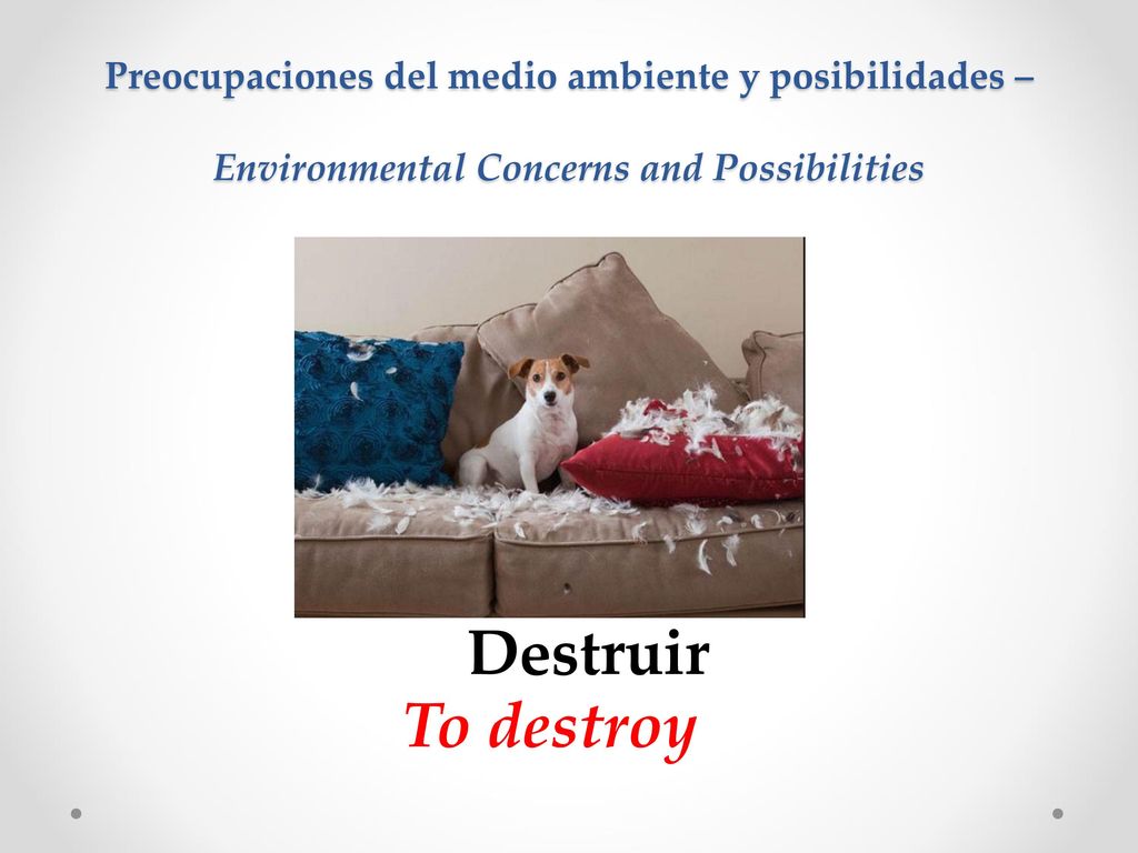 Preocupaciones del medio ambiente y posibilidades – Environmental Concerns and Possibilities