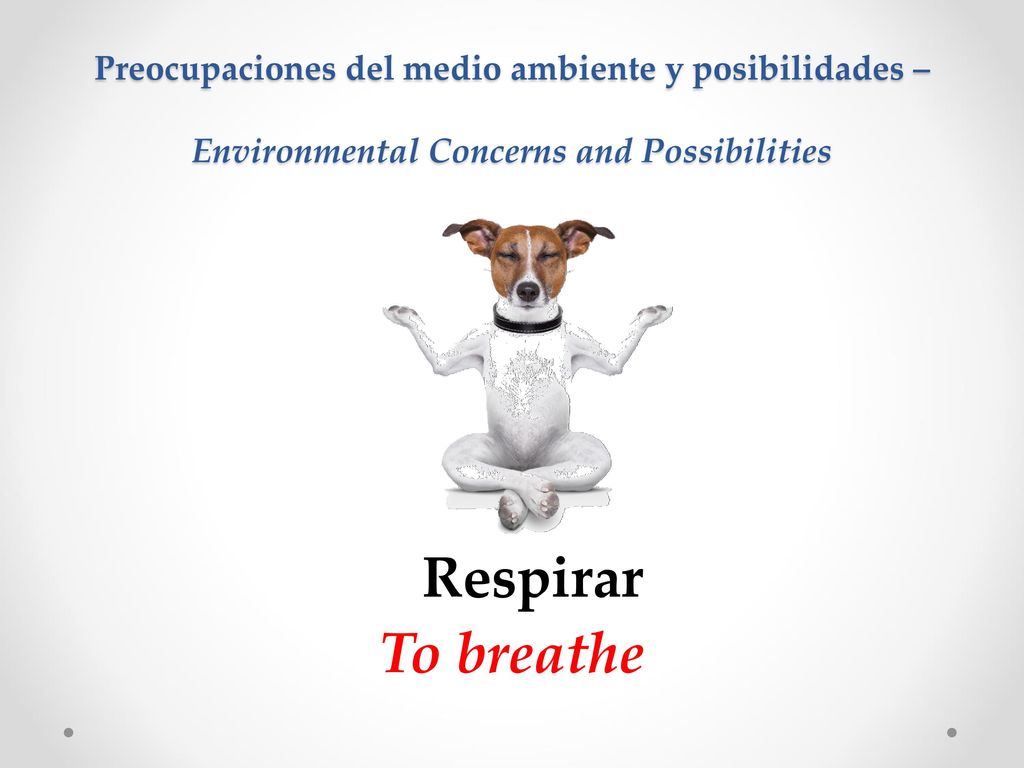 Preocupaciones del medio ambiente y posibilidades – Environmental Concerns and Possibilities