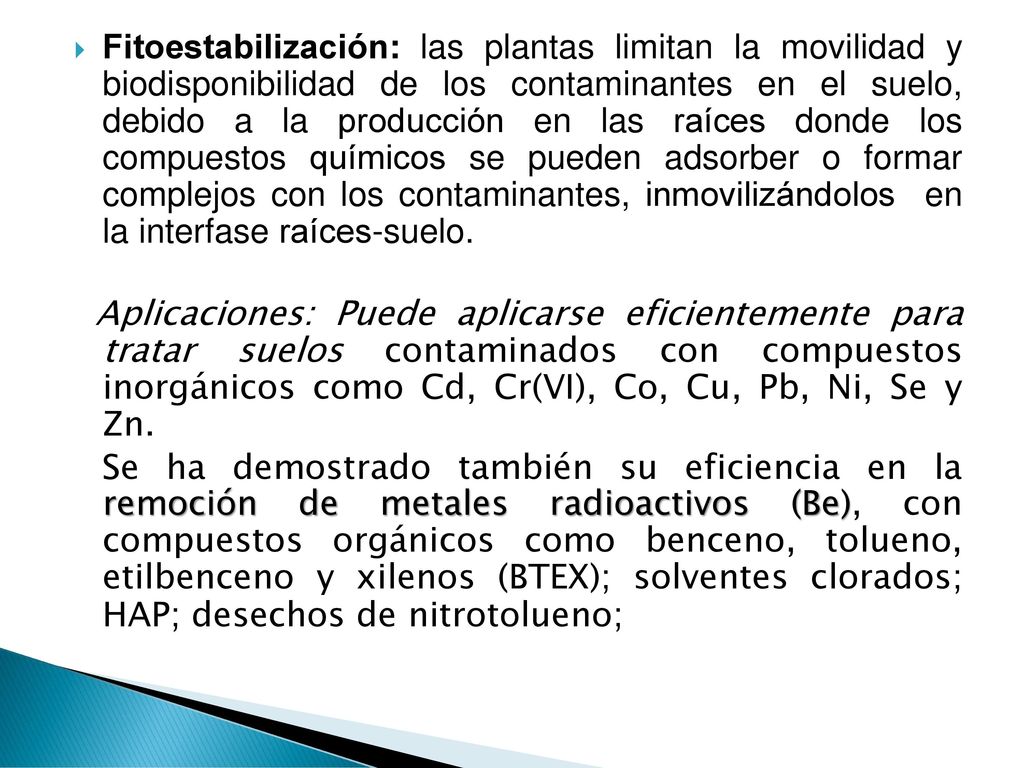 Fitoestabilización: las plantas limitan la movilidad y biodisponibilidad de los contaminantes en el suelo, debido a la producción en las raíces donde los compuestos químicos se pueden adsorber o formar complejos con los contaminantes, inmovilizándolos en la interfase raíces-suelo.