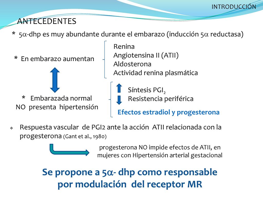 Se propone a 5a- dhp como responsable por modulación del receptor MR