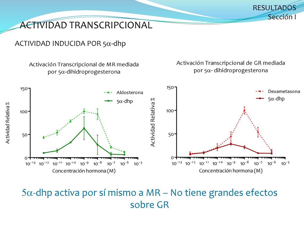 5a-dhp activa por sí mismo a MR – No tiene grandes efectos sobre GR