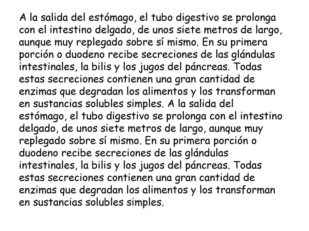 A la salida del estómago, el tubo digestivo se prolonga con el intestino delgado, de unos siete metros de largo, aunque muy replegado sobre sí mismo. En su primera porción o duodeno recibe secreciones de las glándulas intestinales, la bilis y los jugos del páncreas. Todas estas secreciones contienen una gran cantidad de enzimas que degradan los alimentos y los transforman en sustancias solubles simples. A la salida del estómago, el tubo digestivo se prolonga con el intestino delgado, de unos siete metros de largo, aunque muy replegado sobre sí mismo. En su primera porción o duodeno recibe secreciones de las glándulas intestinales, la bilis y los jugos del páncreas. Todas estas secreciones contienen una gran cantidad de enzimas que degradan los alimentos y los transforman en sustancias solubles simples.