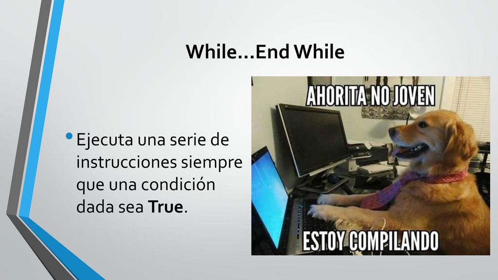 While...End While Ejecuta una serie de instrucciones siempre que una condición dada sea True.
