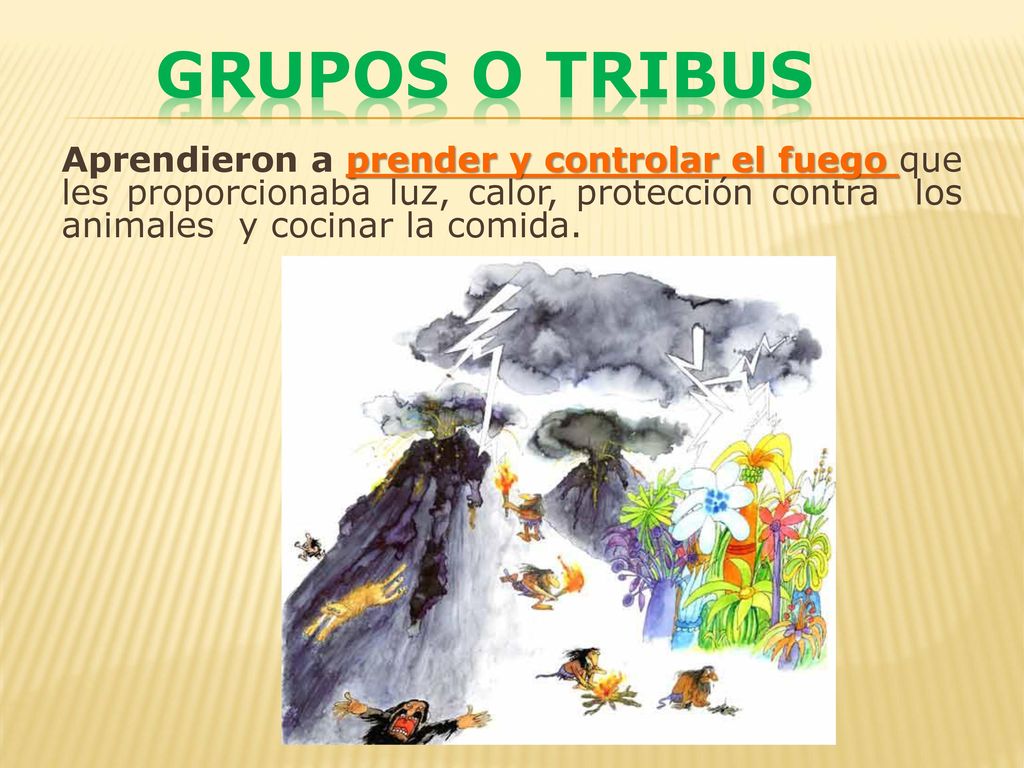 GRUPOS O TRIBUS Aprendieron a prender y controlar el fuego que les proporcionaba luz, calor, protección contra los animales y cocinar la comida.
