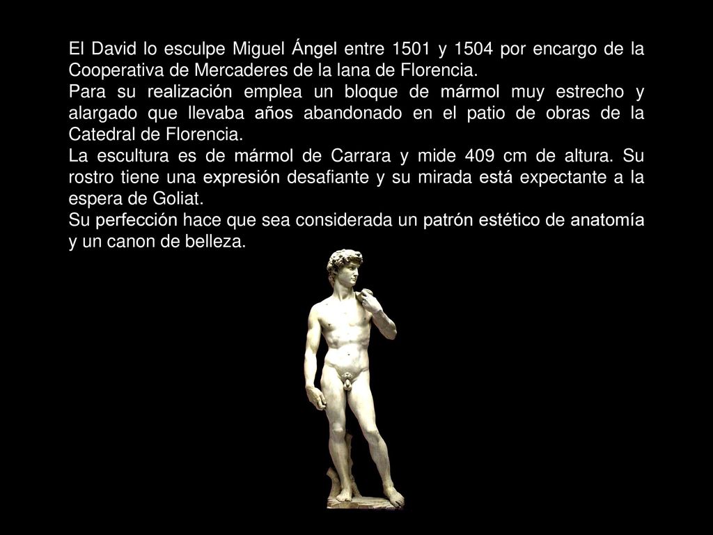 El David lo esculpe Miguel Ángel entre 1501 y 1504 por encargo de la Cooperativa de Mercaderes de la lana de Florencia.