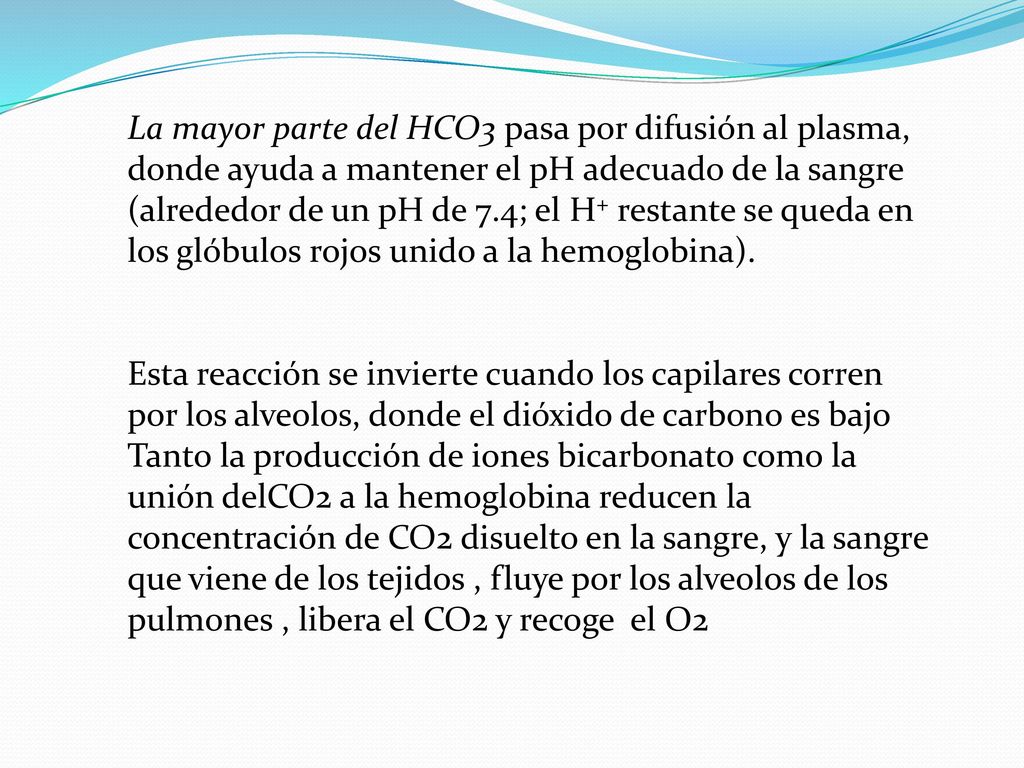 La mayor parte del HCO3 pasa por difusión al plasma, donde ayuda a mantener el pH adecuado de la sangre (alrededor de un pH de 7.4; el H+ restante se queda en los glóbulos rojos unido a la hemoglobina).