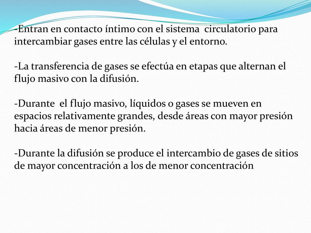 Entran en contacto íntimo con el sistema circulatorio para intercambiar gases entre las células y el entorno.
