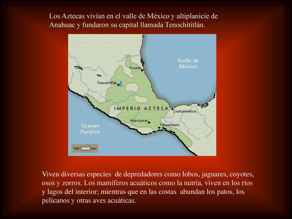 Los Aztecas vivían en el valle de México y altiplanicie de Anahuac y fundaron su capital llamada Tenochititlán.