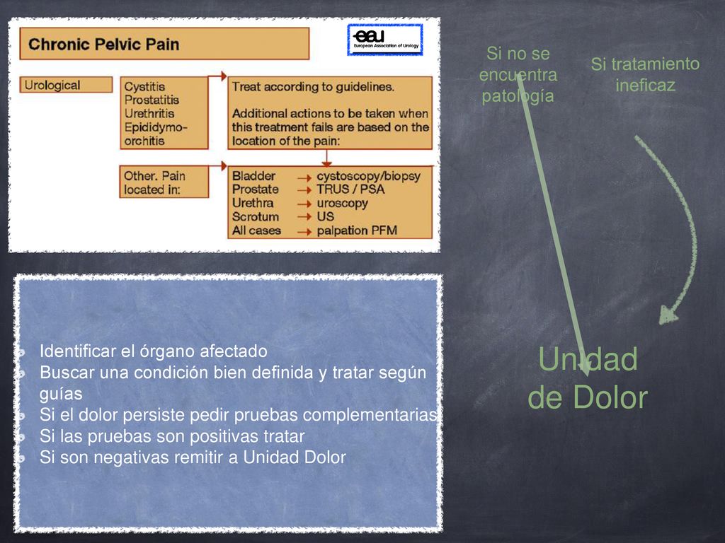 Unidad de Dolor Si no se encuentra patología Si tratamiento ineficaz