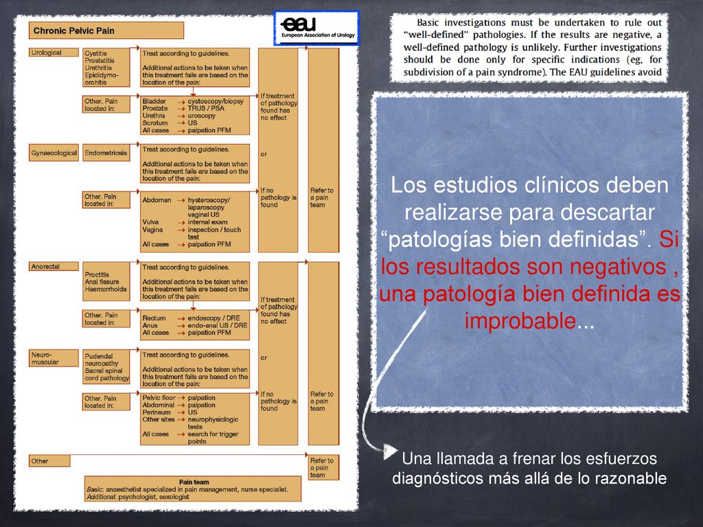 Los estudios clínicos deben realizarse para descartar patologías bien definidas . Si los resultados son negativos , una patología bien definida es improbable...