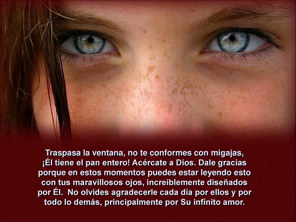 Traspasa la ventana, no te conformes con migajas, ¡Él tiene el pan entero.