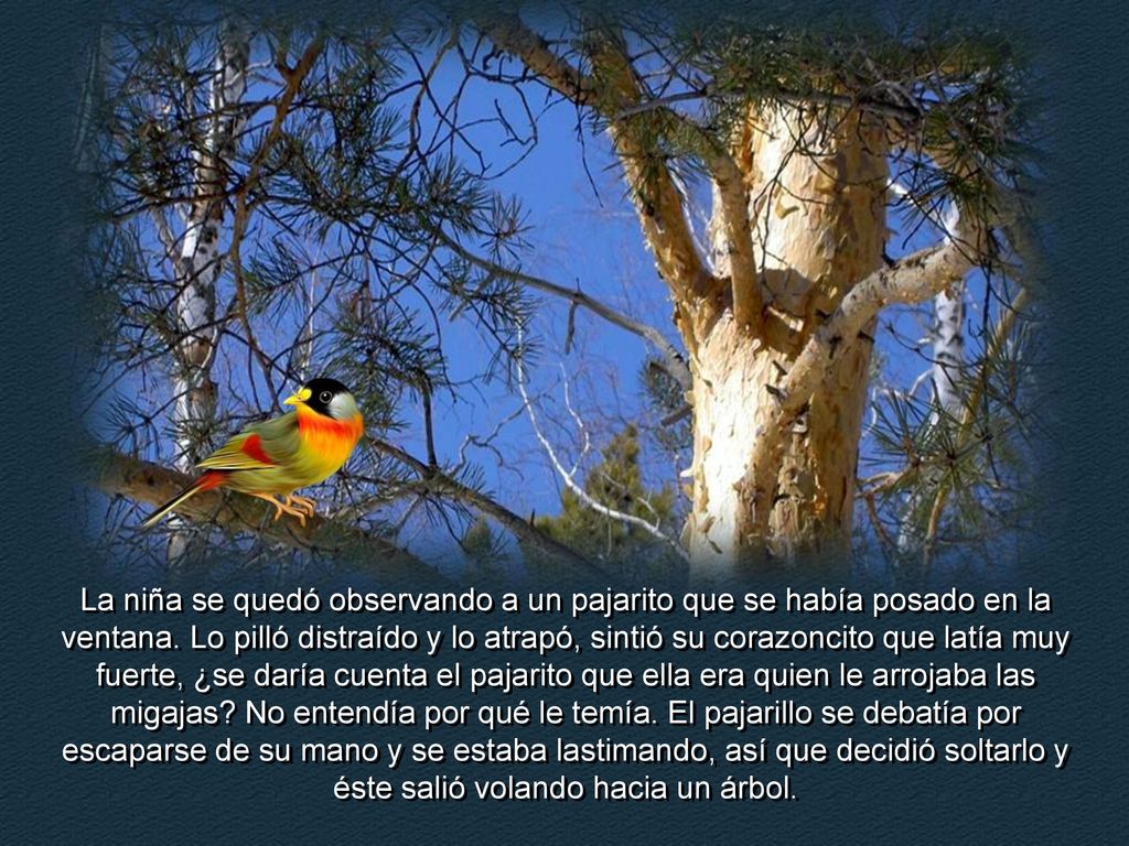 La niña se quedó observando a un pajarito que se había posado en la ventana.
