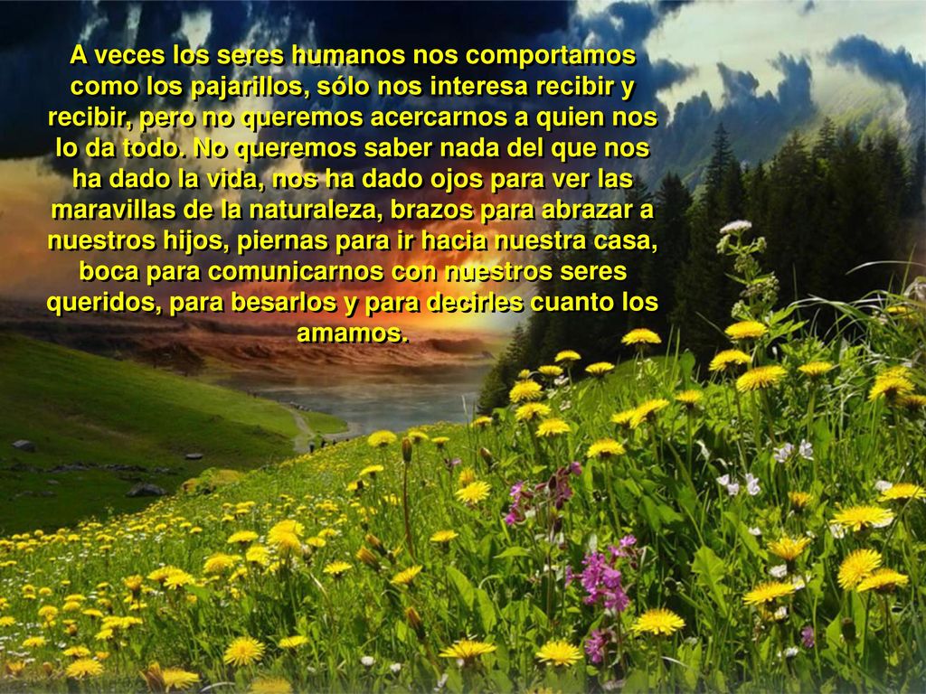 A veces los seres humanos nos comportamos como los pajarillos, sólo nos interesa recibir y recibir, pero no queremos acercarnos a quien nos lo da todo.