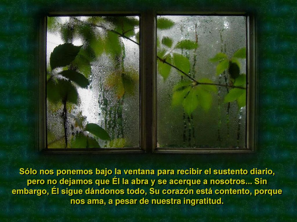 Sólo nos ponemos bajo la ventana para recibir el sustento diario, pero no dejamos que Él la abra y se acerque a nosotros...