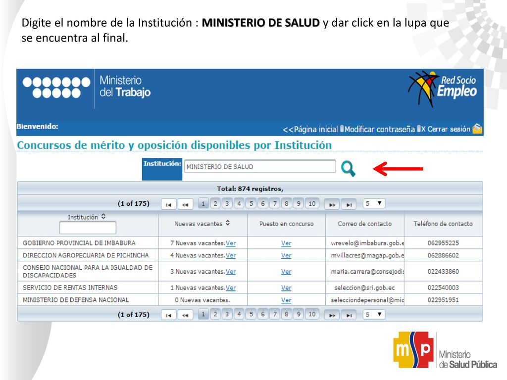 Digite el nombre de la Institución : MINISTERIO DE SALUD y dar click en la lupa que se encuentra al final.