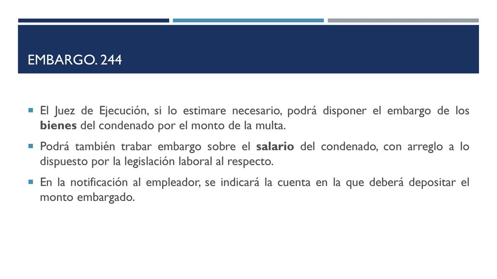 Embargo. 244 El Juez de Ejecución, si lo estimare necesario, podrá disponer el embargo de los bienes del condenado por el monto de la multa.