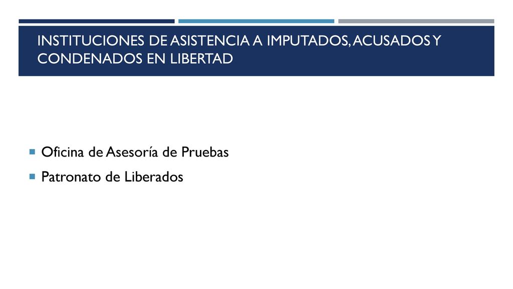 Instituciones de asistencia a imputados, acusados y condenados en libertad
