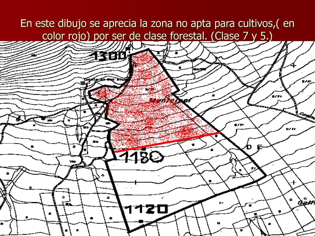 En este dibujo se aprecia la zona no apta para cultivos,( en color rojo) por ser de clase forestal.