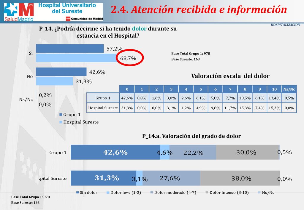 Valoración escala del dolor P_14.a. Valoración del grado de dolor