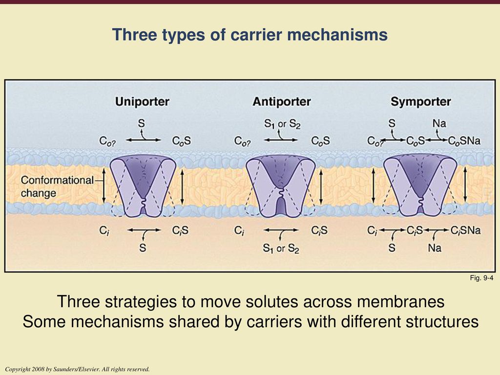 Three types of carrier mechanisms
