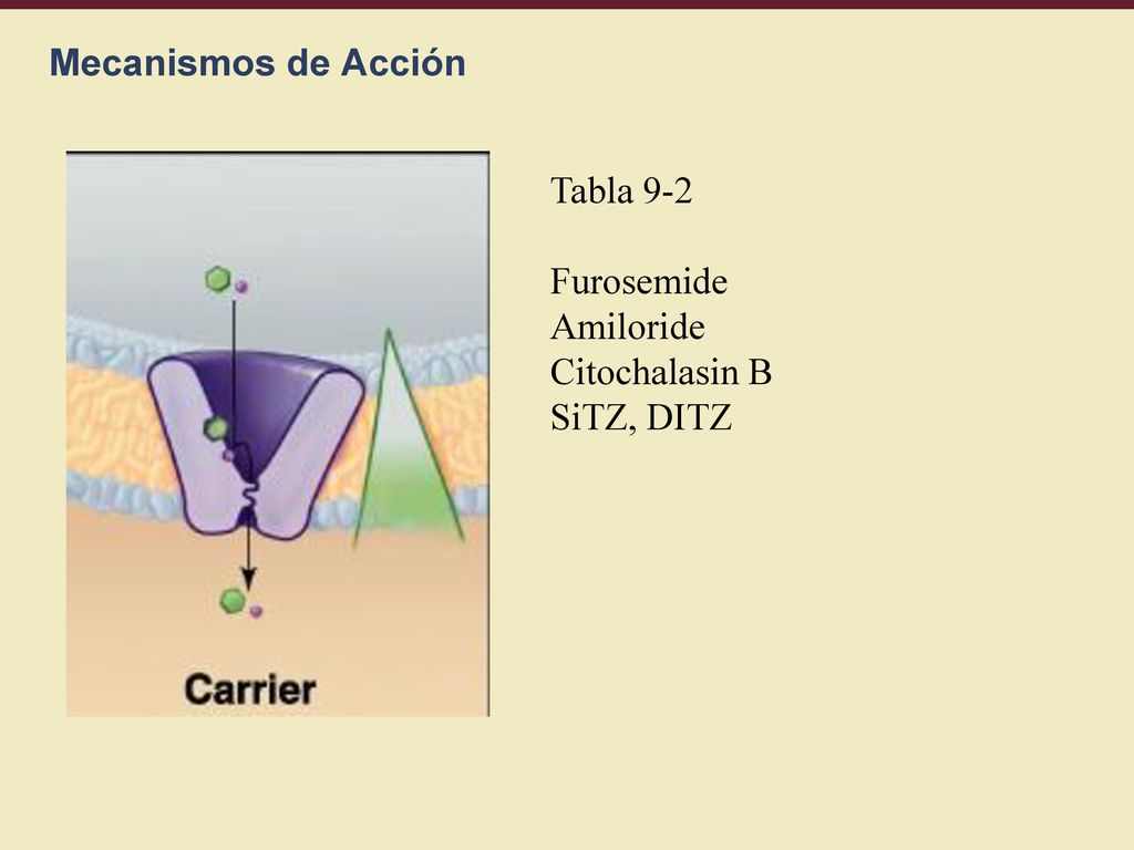 Mecanismos de Acción Tabla 9-2 Furosemide Amiloride Citochalasin B SiTZ, DITZ