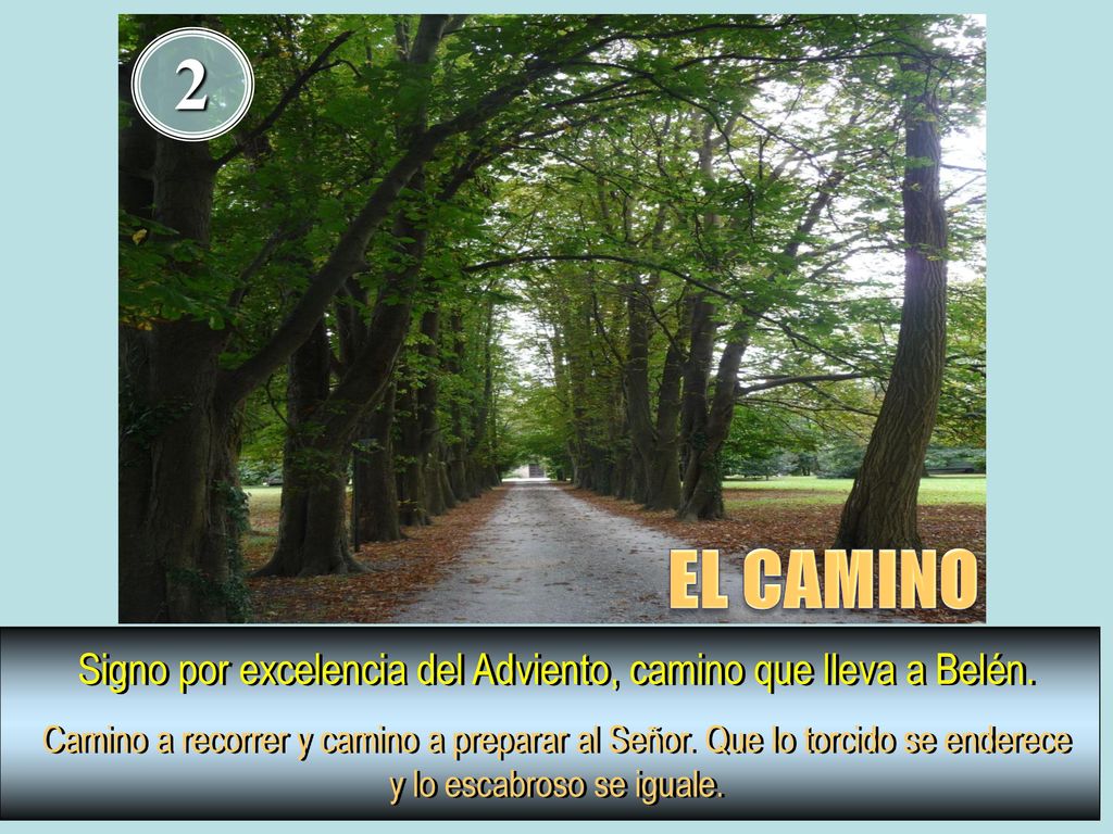 Signo por excelencia del Adviento, camino que lleva a Belén.