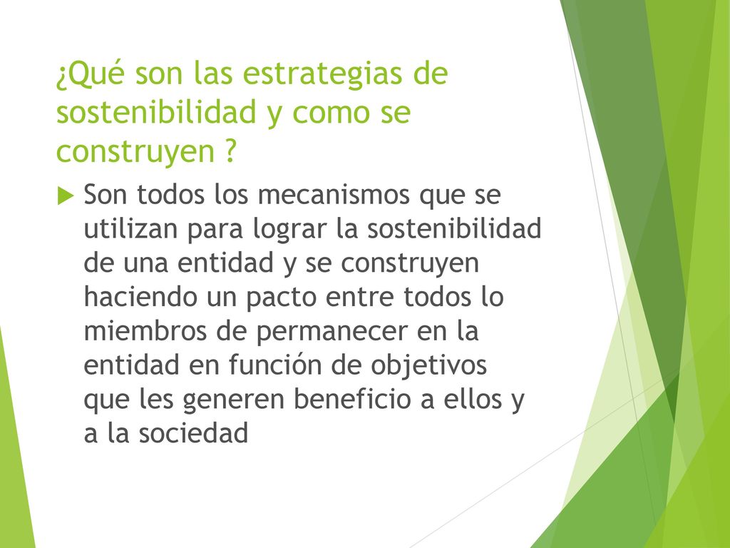 ¿Qué son las estrategias de sostenibilidad y como se construyen