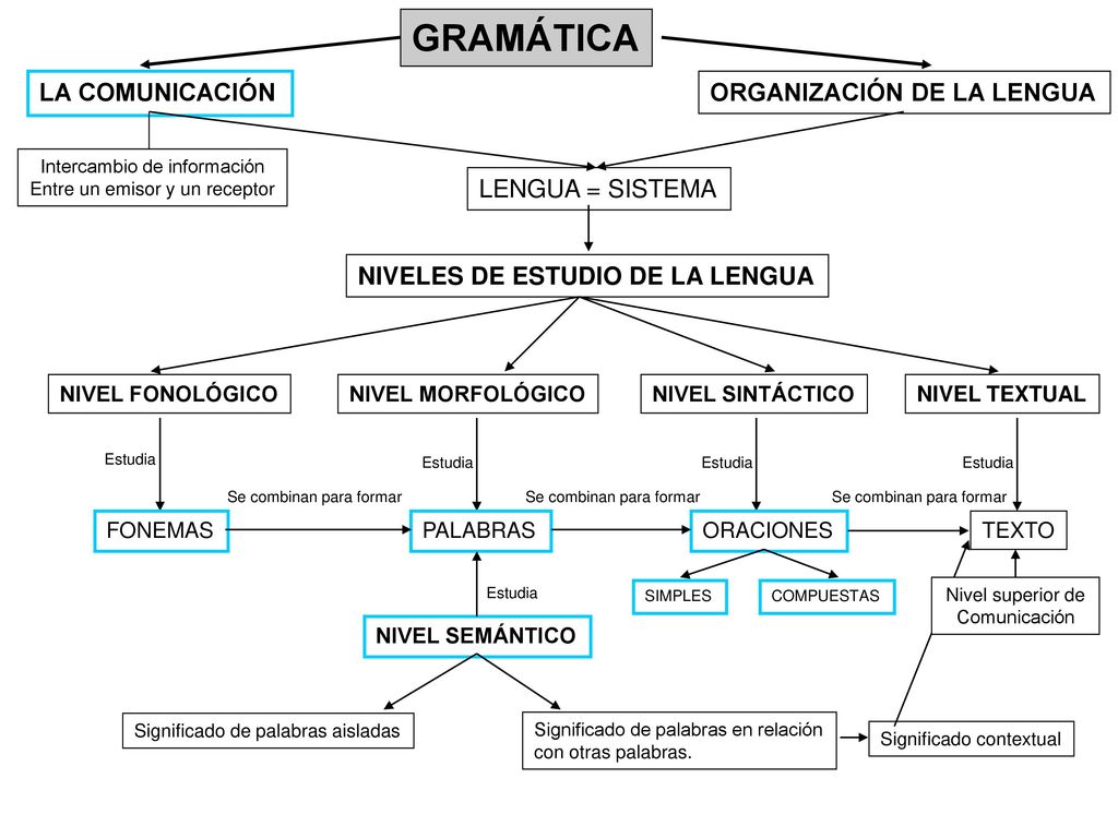 GRAMÁTICA LA COMUNICACIÓN ORGANIZACIÓN DE LA LENGUA LENGUA = SISTEMA