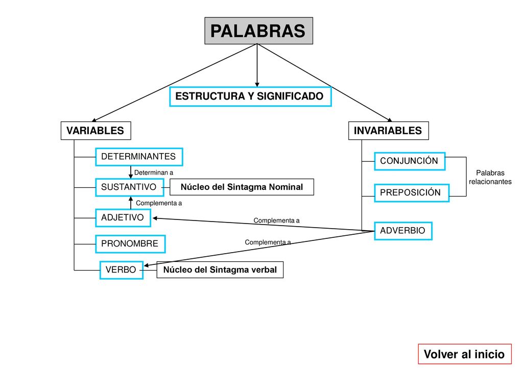 Núcleo del Sintagma Nominal Núcleo del Sintagma verbal
