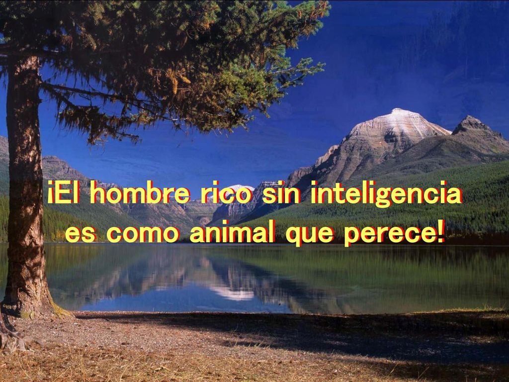¡El hombre rico sin inteligencia es como animal que perece!