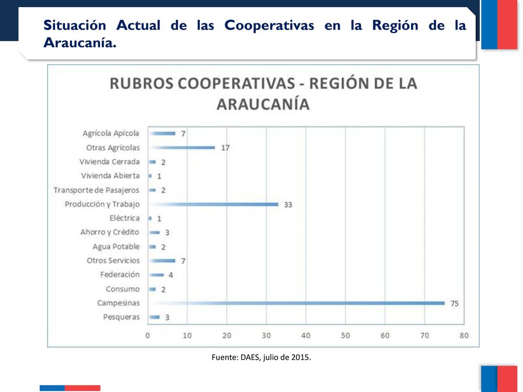 Situación Actual de las Cooperativas en la Región de la Araucanía.
