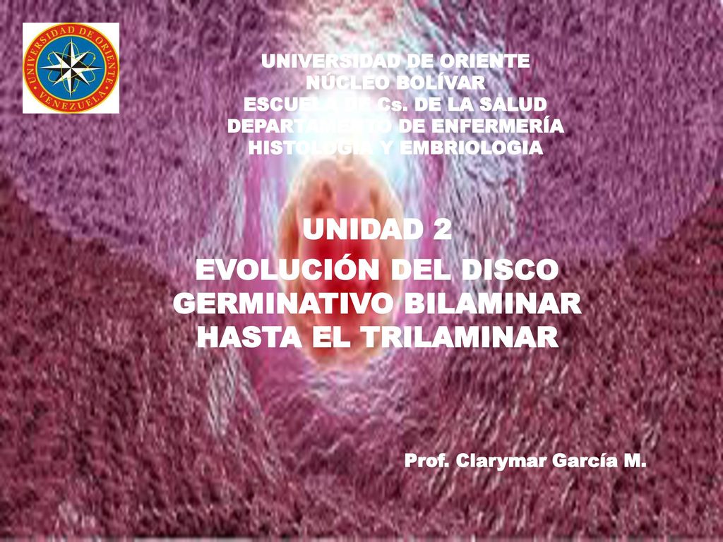 UNIDAD 2 EVOLUCIÓN DEL DISCO GERMINATIVO BILAMINAR HASTA EL TRILAMINAR