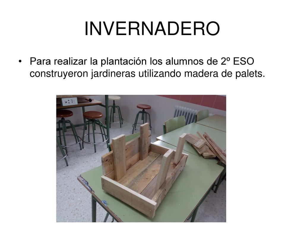 INVERNADERO Para realizar la plantación los alumnos de 2º ESO construyeron jardineras utilizando madera de palets.